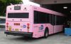 MDTA_NABI_2148_pink_2.JPG