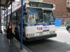 1-6305.JPG