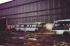 100-bus_pictures_414.jpg