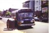 4316-bus_pictures_131.jpg