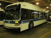 4843-01549.JPG