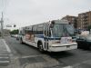 5186-0973.JPG