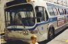6313-bus_pictures_415.jpg