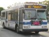 6575-02951.JPG