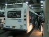 8036r_01591.JPG
