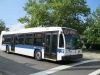 8039-01133.JPG