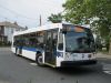 8041-01164.JPG