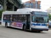 flyer_7264.jpg