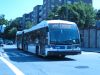nova_5348.JPG