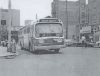 ta8817.jpg