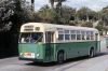 State_Transit_Authority_-_Sydney_1.jpg